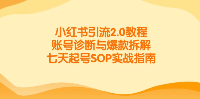 小红书引流2.0教程，账号诊断与爆款拆解，七天起号SOP实战指南-理想项目库