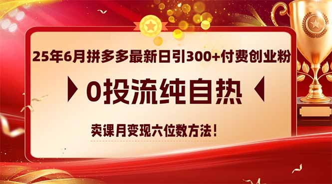 25年6月拼多多最新日引300+付费创业粉，0投流纯自热 卖课月变现六位数方法-理想项目库