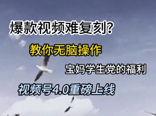 视频号4.0重磅上线，爆款视频难复刻？教你无脑操作宝妈学生党的福利【揭秘】-理想项目库