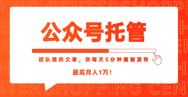 【公众号托管 】我提供文章，你每天５分钟复制发布，最高月入1W-理想项目库