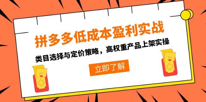拼多多低成本盈利实战，类目选择与定价策略，高权重产品上架实操-理想项目库