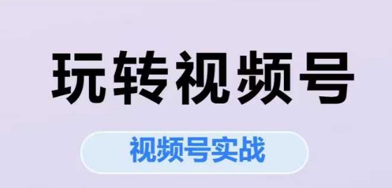 玩转视频号，视频号实战系列课-理想项目库