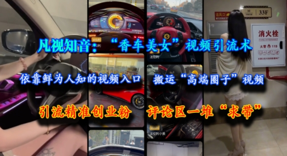 凡视知音：“香车美女”视频引流术，依靠鲜为人知的视频入口，搬运“高端圈子”视频，引流精准创业粉，评论区一堆“求带”-理想项目库