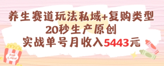 养生赛道玩法私域+复购类型，20秒生产原创实战单号月收入5k+-理想项目库