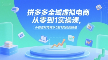 拼多多全域虚拟电商从零到1实操课，小白虚拟电商从0到1实操到精通-理想项目库