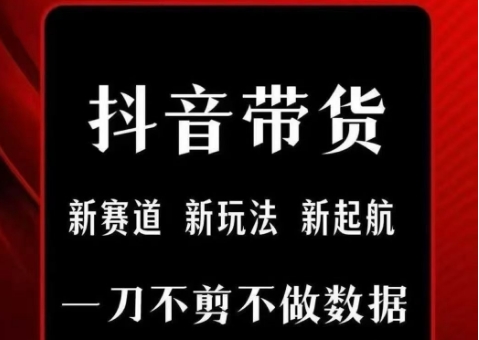 抖音短视频一刀不剪带货，不剪辑，不直播，每天发个视频，等着出单获取带货佣金-理想项目库