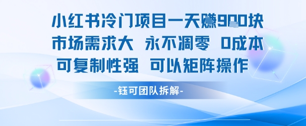 小红书冷门项目一天收益9张，市场需求大，0成本，可复制性强可以矩阵操作-理想项目库